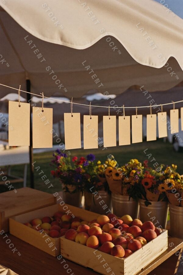 Stall Life set cover